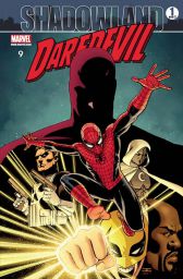 Daredevil 9
Shadowland 1 von 2