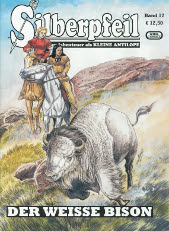 Silberpfeil 17