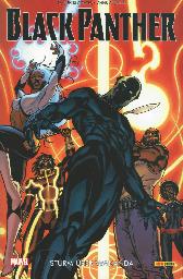 Black Panther 2