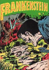 Frankenstein 7
