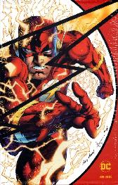 Flashpoint
Collector’s Edition im Schuber