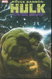 Bruce Banner - Hulk 1 
Variant-Cover