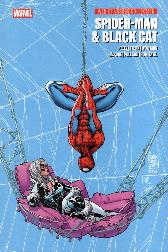 Spider-Man und Black Cat 