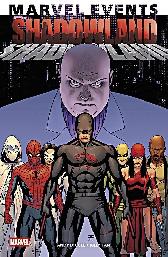Marvel Events 
Shadowland